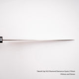 Takeshi Saji SG2 Diamond Damascus Gyuto 210mm