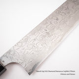 Takeshi Saji SG2 Diamond Damascus Sujihiki 270mm