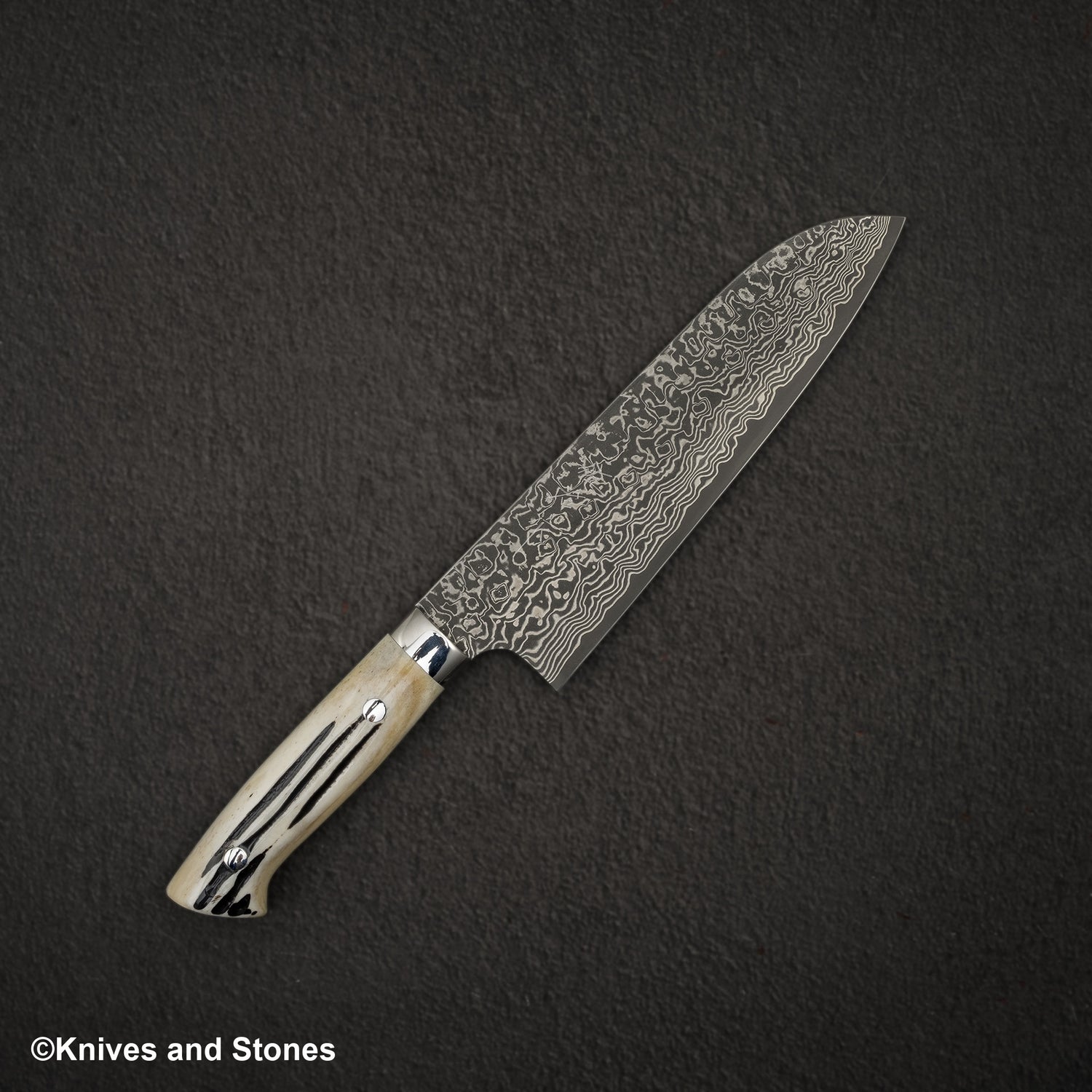 Takeshi Saji SG2 Black Damascus Santoku 180mm Stag Handle