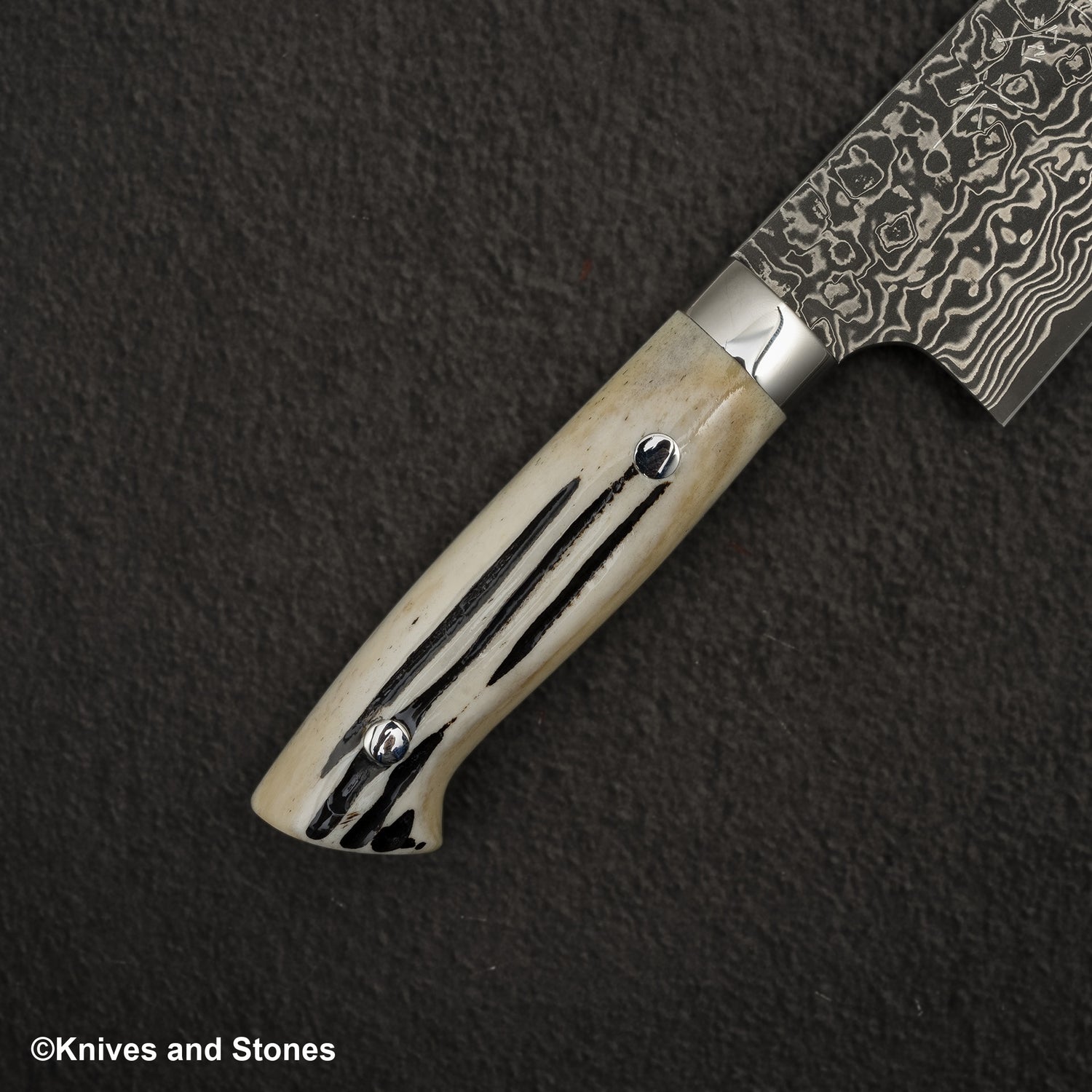 Takeshi Saji SG2 Black Damascus Santoku 180mm Stag Handle