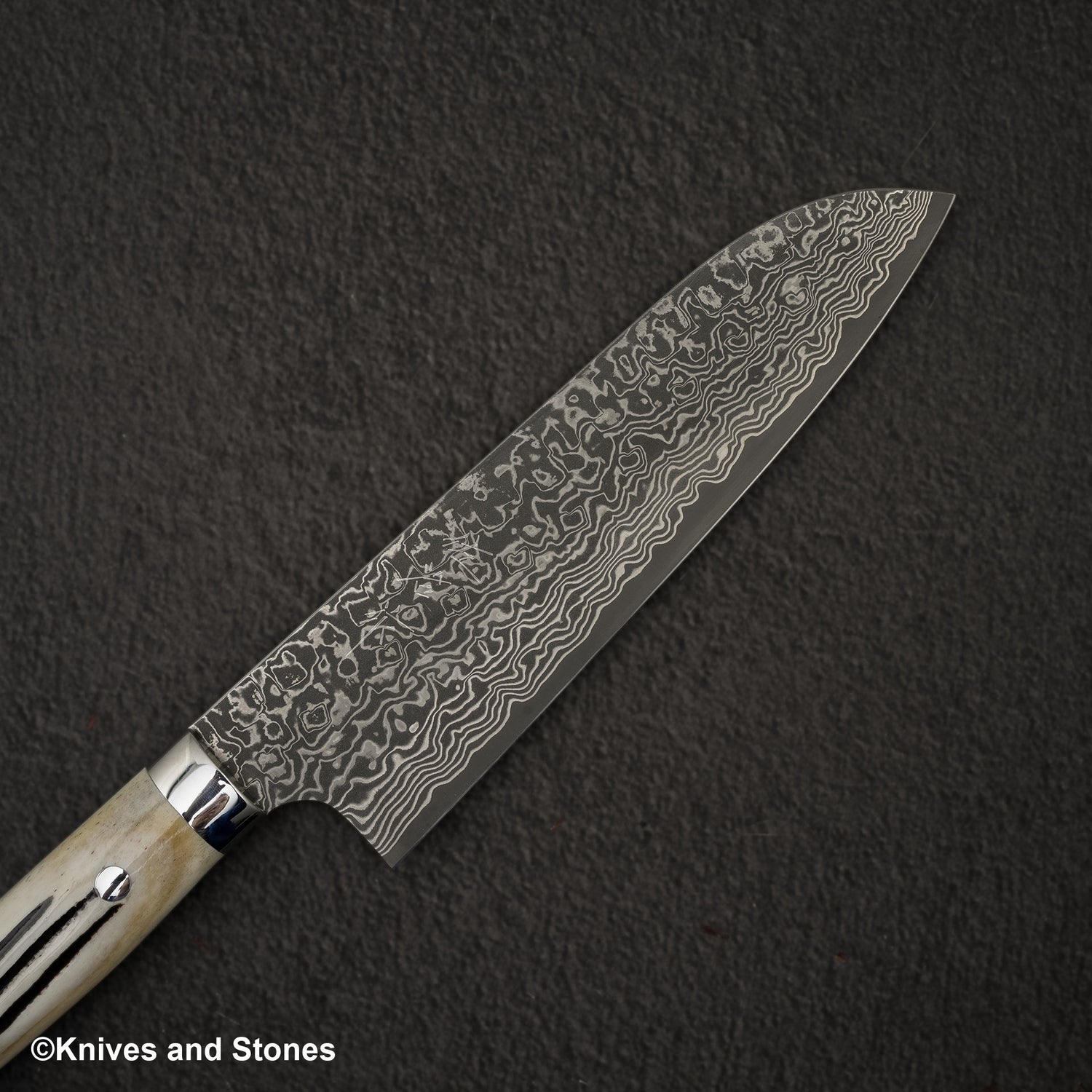 Takeshi Saji SG2 Black Damascus Santoku 180mm Stag Handle