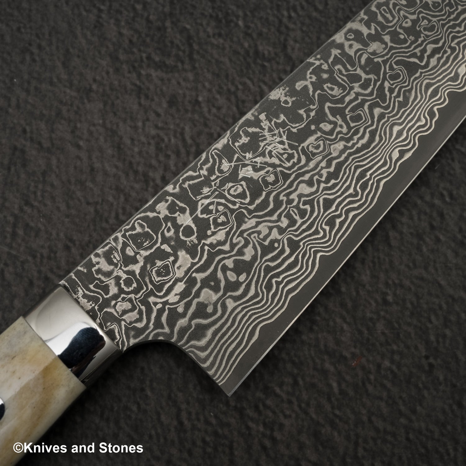 Takeshi Saji SG2 Black Damascus Santoku 180mm Stag Handle