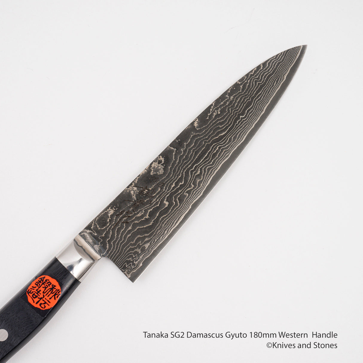 Tanaka SG2 Damascus Gyuto 180mm Western Handle