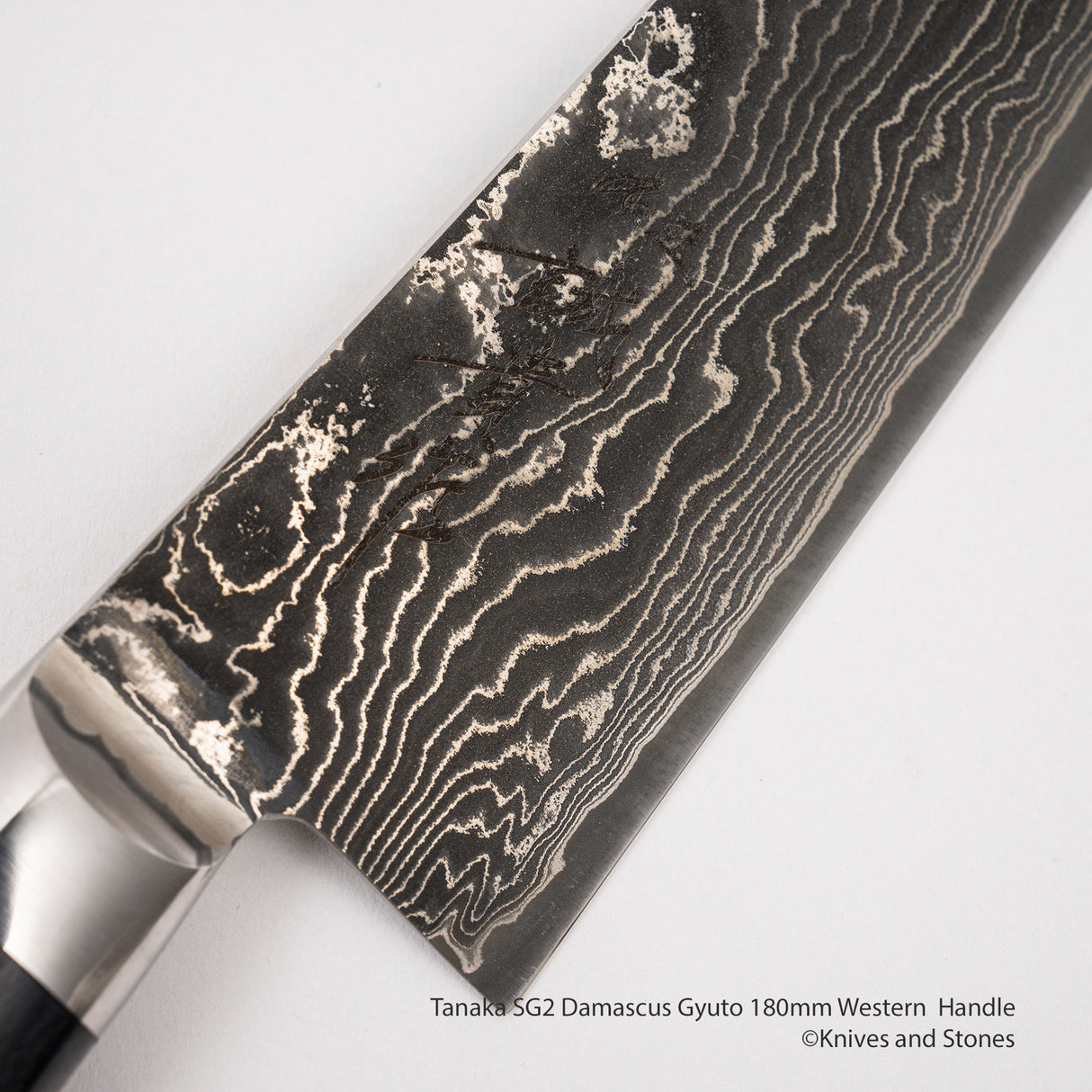 Tanaka SG2 Damascus Gyuto 180mm Western Handle