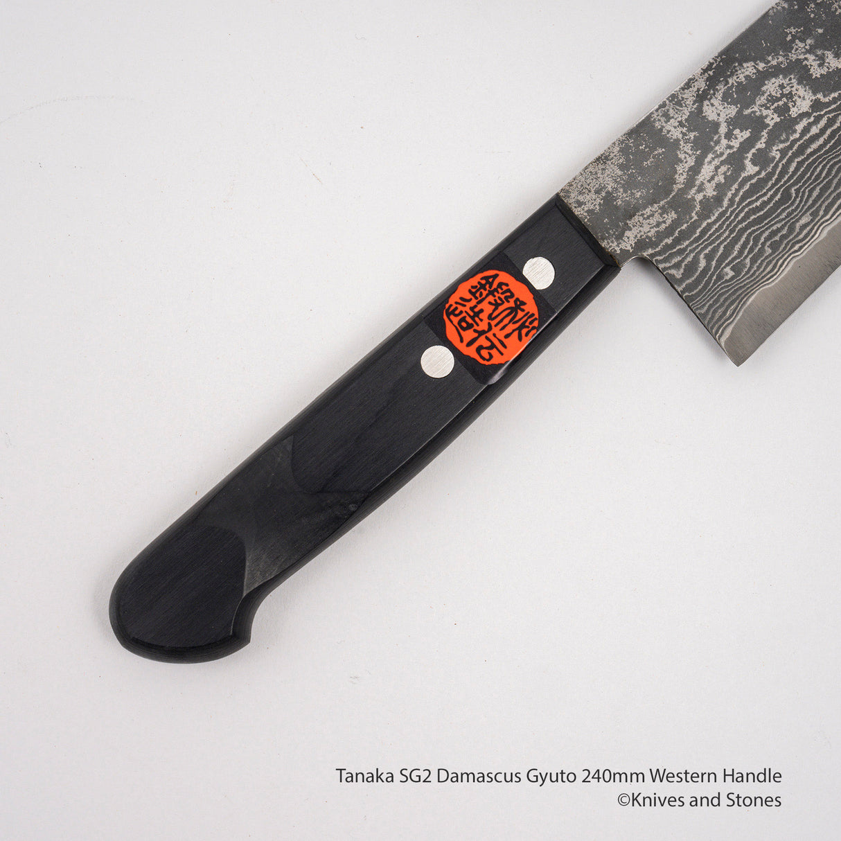 Tanaka SG2 Damascus Gyuto 240mm Western Handle