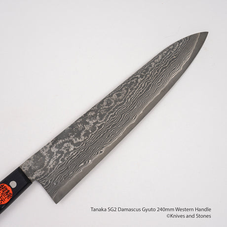 Tanaka SG2 Damascus Gyuto 240mm Western Handle