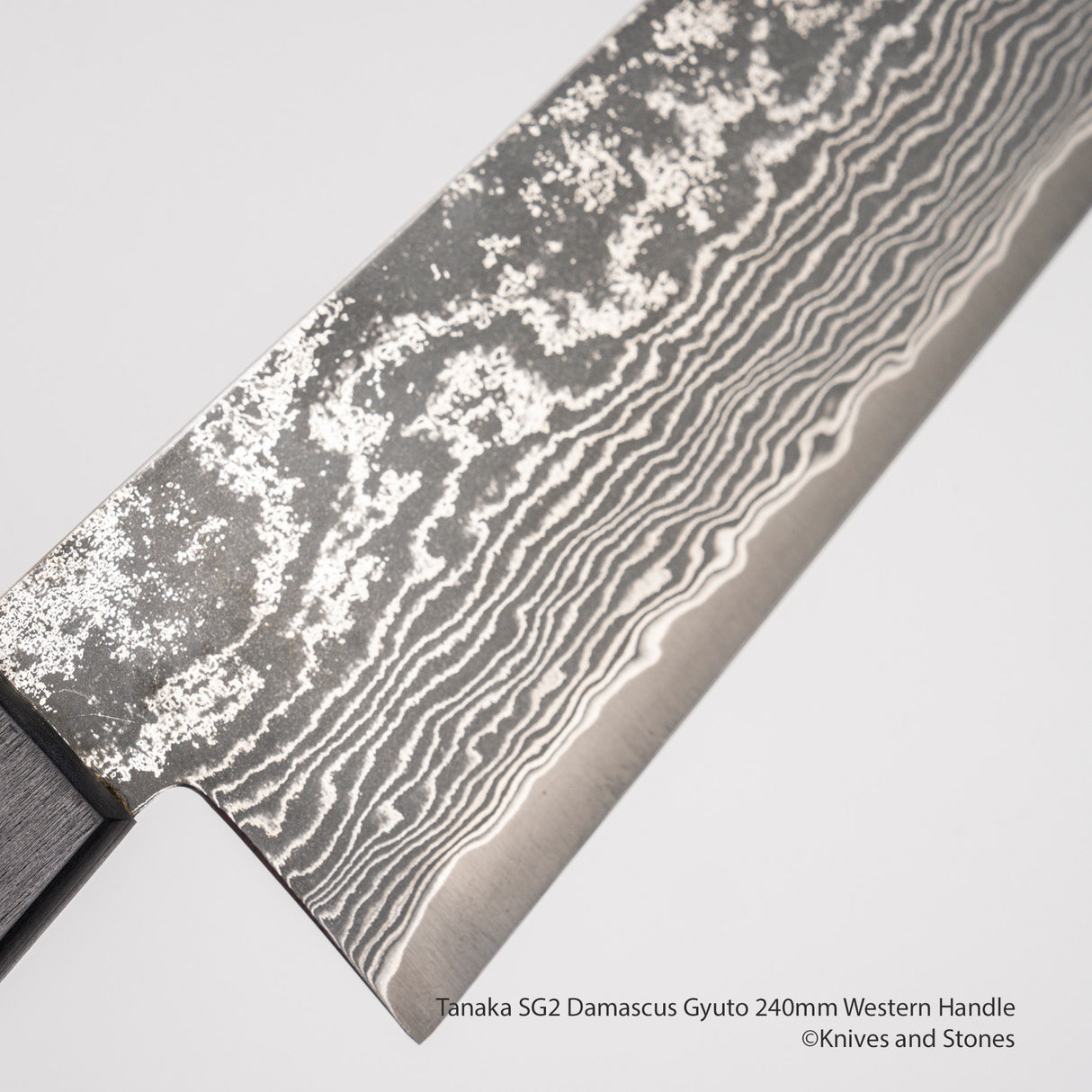 Tanaka SG2 Damascus Gyuto 240mm Western Handle