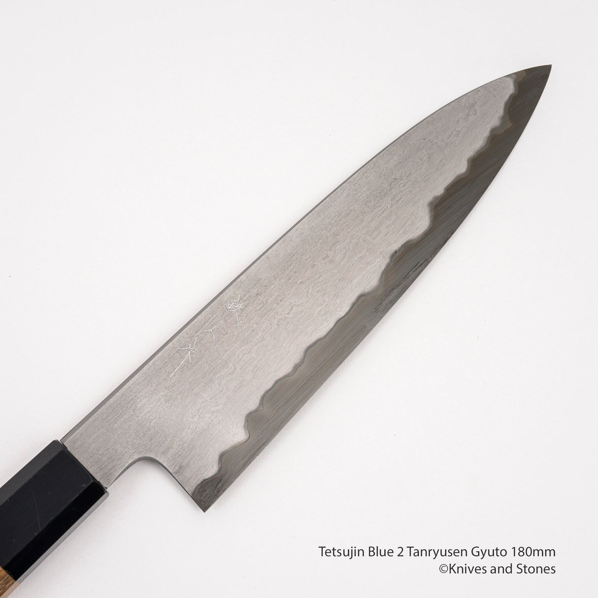 Tetsujin Blue 2 Tanryusen Gyuto 180mm