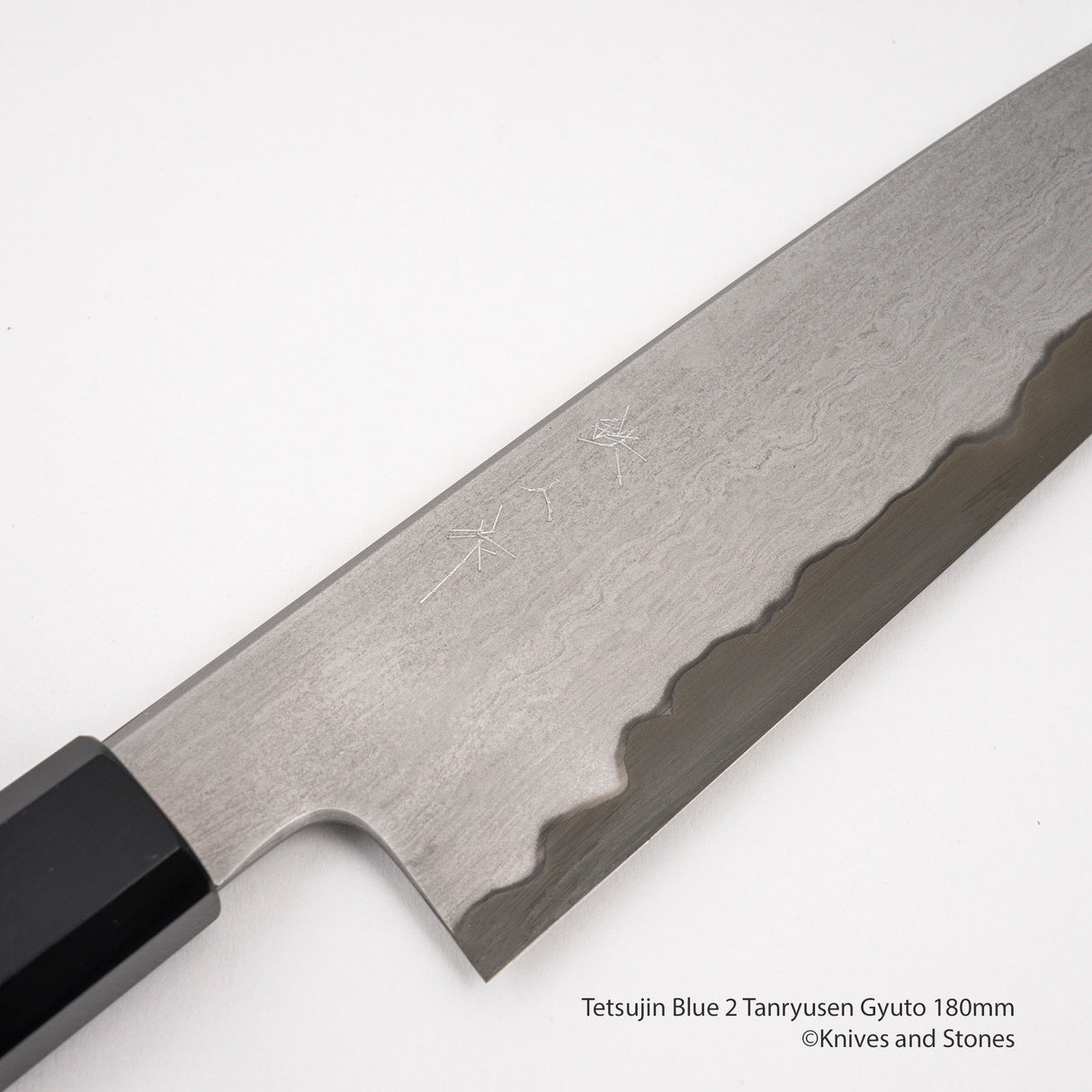 Tetsujin Blue 2 Tanryusen Gyuto 180mm