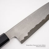 Tetsujin Blue 2 Tanryusen Gyuto 180mm