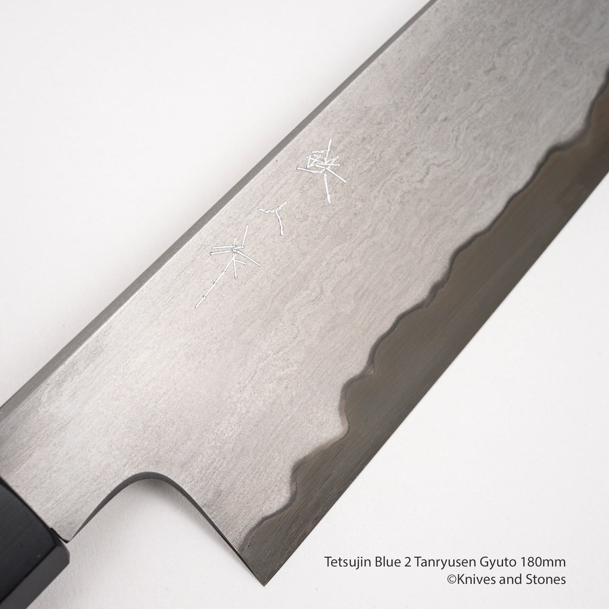Tetsujin Blue 2 Tanryusen Gyuto 180mm