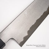 Tetsujin Blue 2 Tanryusen Gyuto 180mm