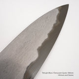 Tetsujin Blue 2 Tanryusen Gyuto 180mm