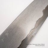 Tetsujin Blue 2 Tanryusen Gyuto 180mm
