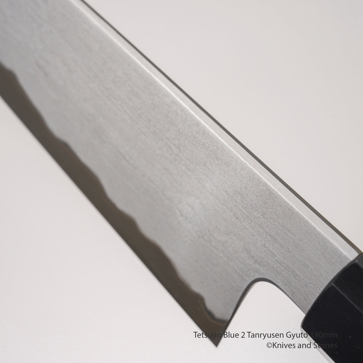 Tetsujin Blue 2 Tanryusen Gyuto 180mm