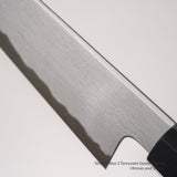 Tetsujin Blue 2 Tanryusen Gyuto 180mm