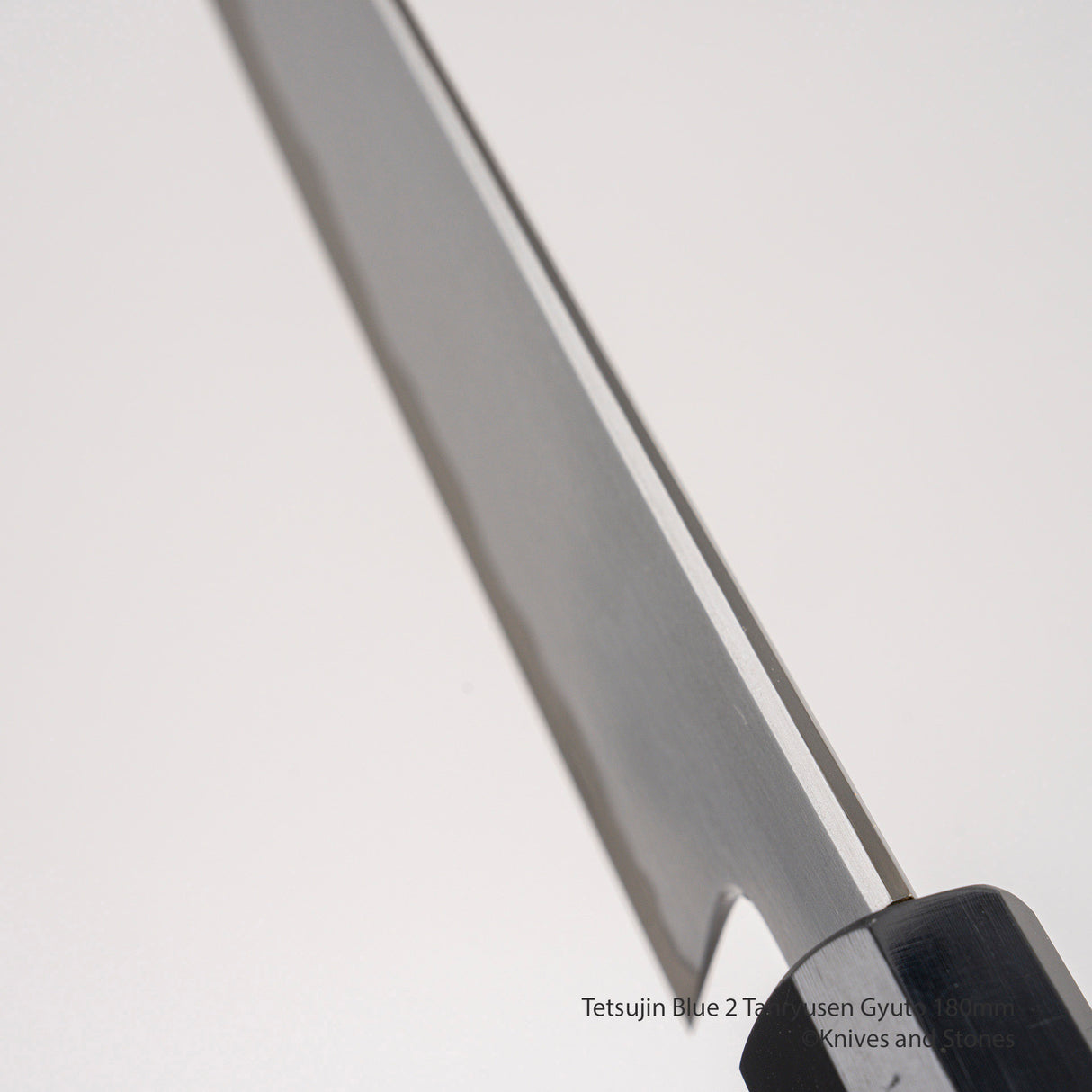 Tetsujin Blue 2 Tanryusen Gyuto 180mm