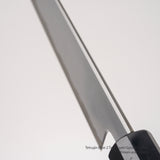 Tetsujin Blue 2 Tanryusen Gyuto 180mm