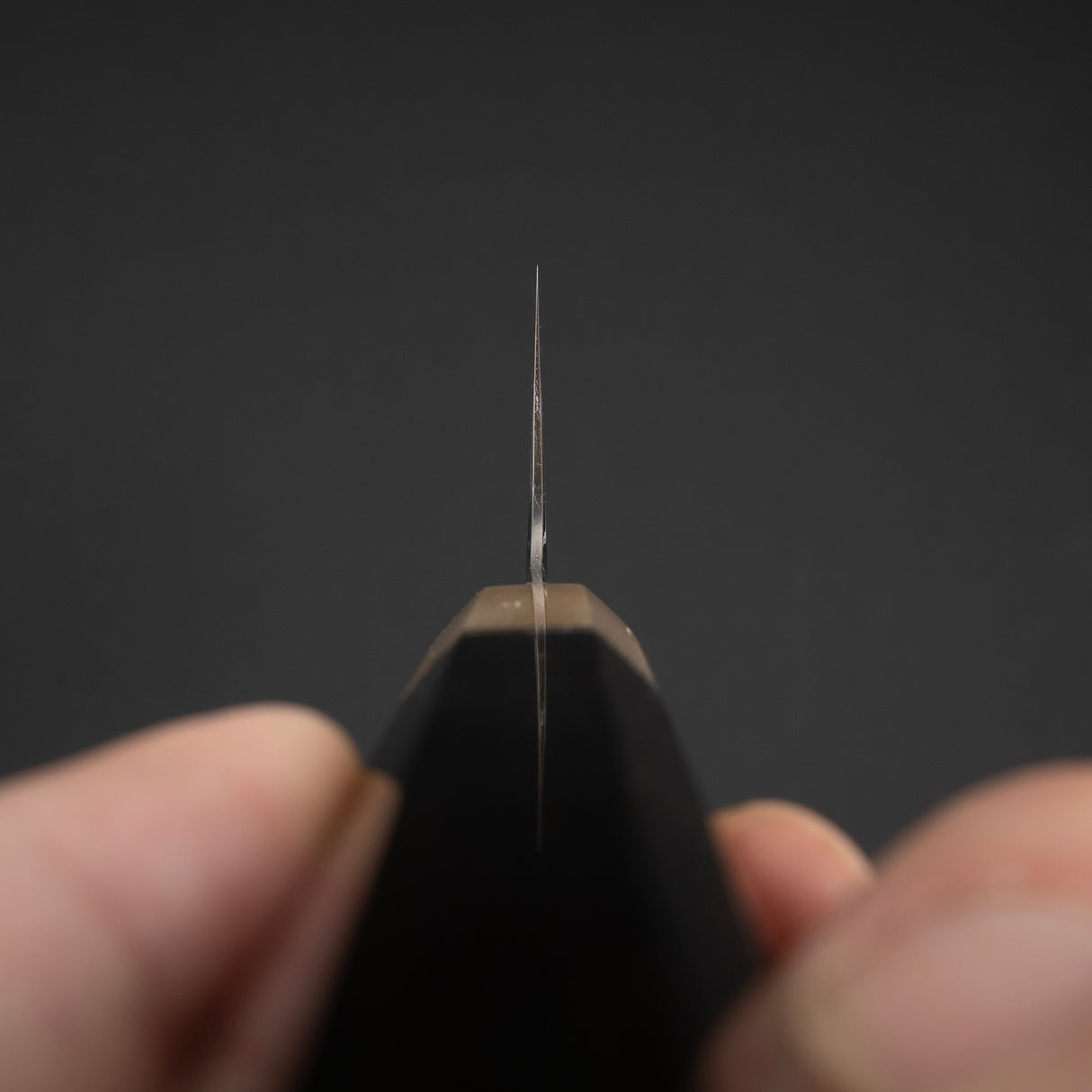 Tetsujin Ginsan Tanryusen (Metal Flow) Gyuto 210mm