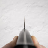 Tojiro DP3 Gyuto 270mm F-810