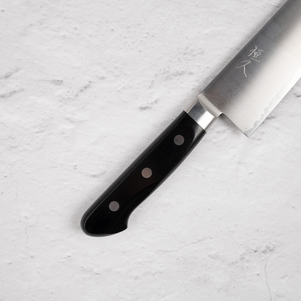 Tsunehisa VG1 Gyuto 210mm Pakkawood