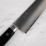 Tsunehisa VG1 Gyuto 210mm Pakkawood