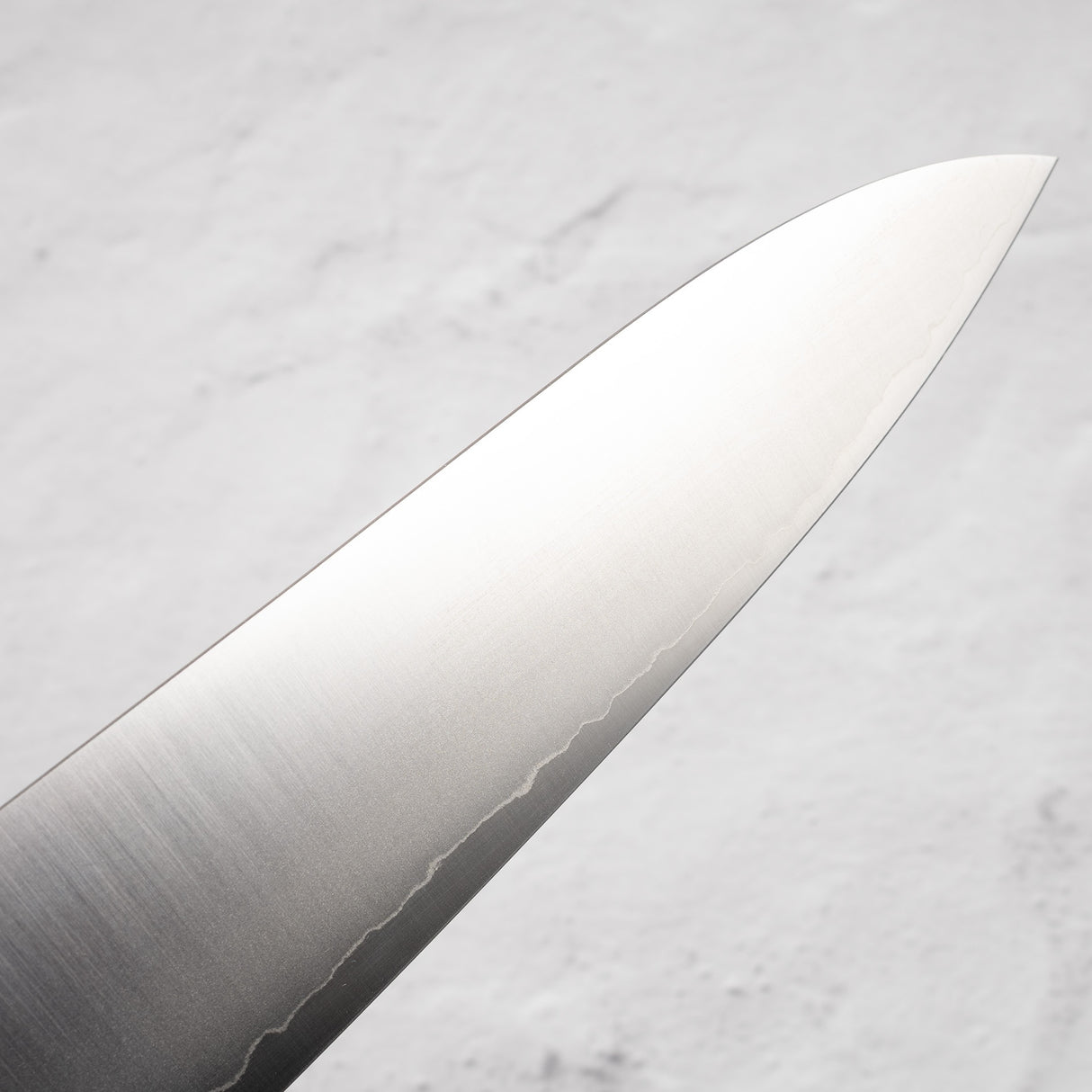 Tsunehisa VG1 Gyuto 210mm Pakkawood