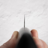 Tsunehisa VG1 Gyuto 210mm Pakkawood