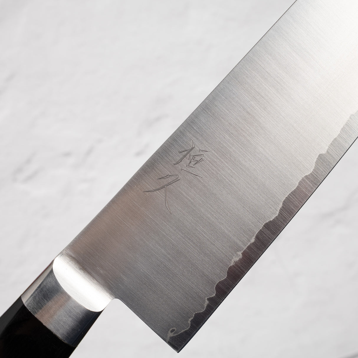 Tsunehisa VG1 Gyuto 210mm Pakkawood