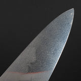 XINGUO Aogami Super Honyaki Gyuto 240mm Ironwood Handle with Saya