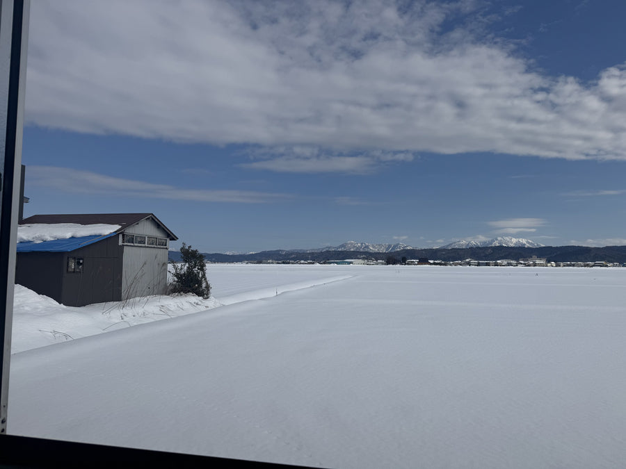 The winter view from the Manaka workshop window