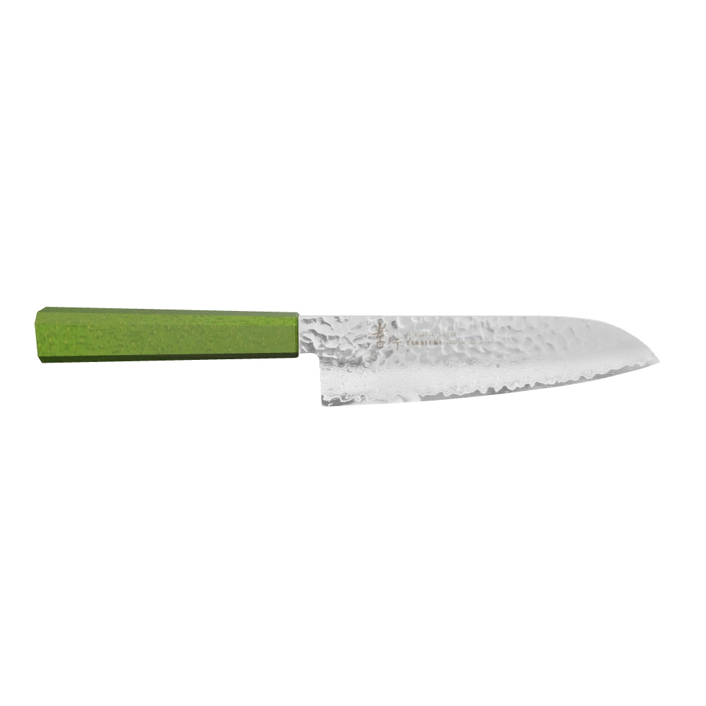 Sakai Takayuki VG10 33 Layer Damascus Santoku 170mm Green 3D model