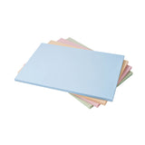 Asahi Colour Coded Professional Antibacterial Rubber Cutting Board 500 x 330mm